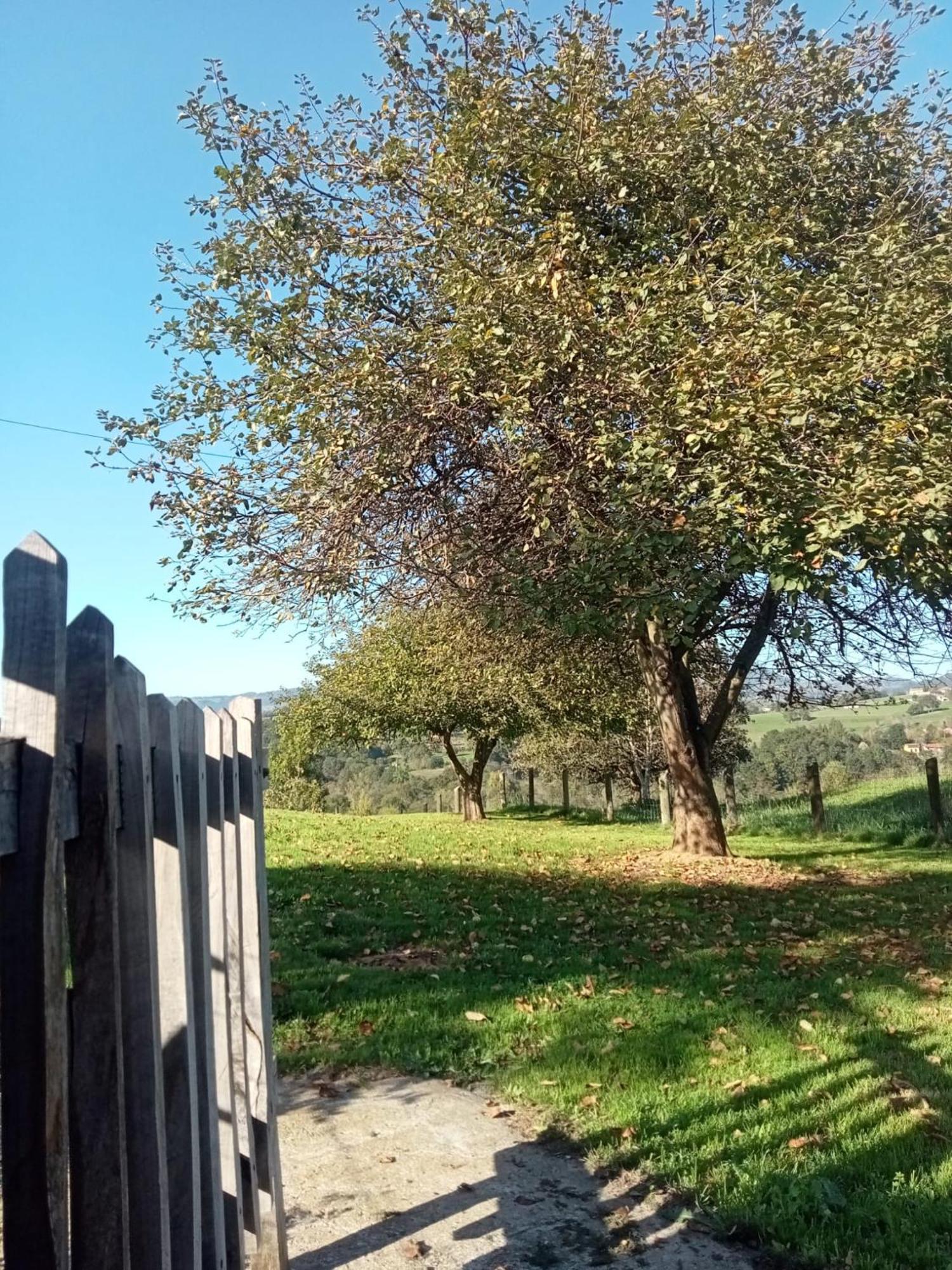 Casa Boni Y Florina Villa Nava Eksteriør bilde